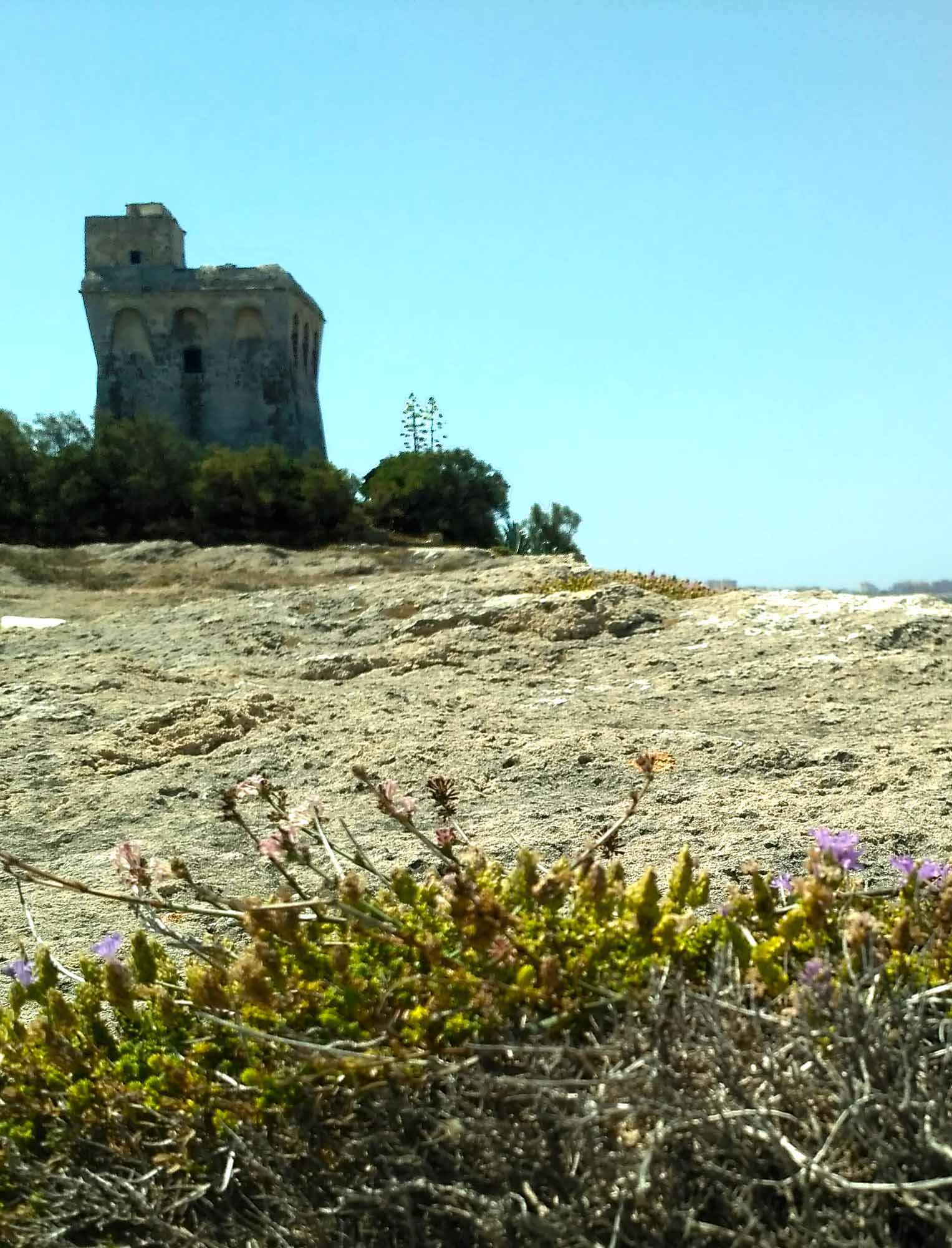 Torre Sabea