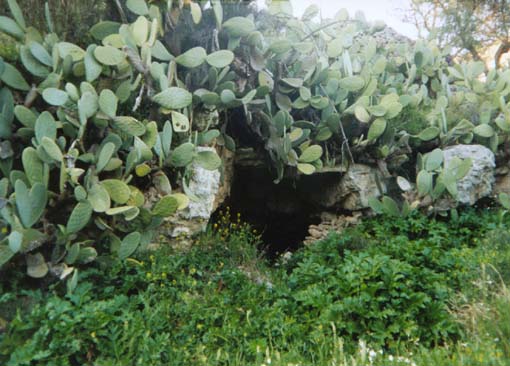 Accesso alla grotta 1231, dal lato ovest della dolina.